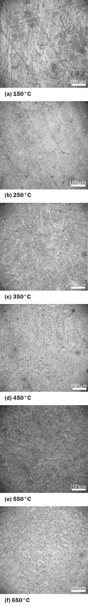 Figure 1: The microstructures of the low-carbon cast steel shot samples