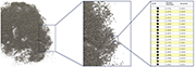 Fig. 1: Abrasive blasting material Chronital S10 with shape values over the normative standard is used for the surface treatment of screws. The standard assures short blasting times in addition to long lifetimes. The figure shows the macroscopic and microscopic imaging of the Chronital material with an example excerpt from the particle list from the HAVER CpaServ software.