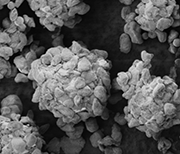 Fig. 6: An SEM image of steel beads with PTFE affixed on the surface