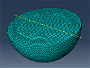 Figure 1: View of the models in Abaqus: substrate (left) and 0.6mm shot (right)