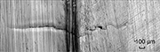 (c) N = 240 000 cycles
Figure 3. Crack coalescence between cracks from each side of the specimen in unpeened specimen (