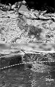 Figure 3: Fracture surface of a) cold spray coating with delamination of coating from substrate b) severe shot peening followed by cold spray coating in which the coating remains well-attached and contributes to the fatigue load bearing