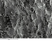 Picture 10: SEM picture of high strength steel surface, peened with 100%, as specified coverage rate, using high intensity. Folding and crack initiation are visible.