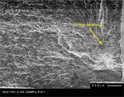 Figure 6: Subsurface crack initiation. The position of the crack nucleus is closer to the micro-hardness saturation point-see figure 7. 