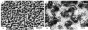 Fig. 3: Surface of a composite peened sample [6]. The parameters for this SEM image are a homologous temperature of 0.9 T/Ts, a pressure of 7 bar, a velocity of 8 mm/s and a tenfold coverage. a) Overview and b) detailed view