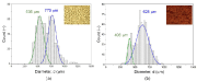 Figure 1. Electrolyte particle size histogram distribution, with the bin size of 50 mm, computed from at least 600 electrolyte particles. (a) M- and (b) G-electrolytes