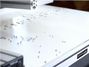 Belt Grader in Action: Precision Sorting for Optimal Results