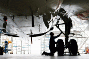 Inspection of aircraft undercarriage