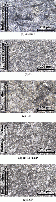 Fig. 3: Aspects of specimen observed by digital microscope