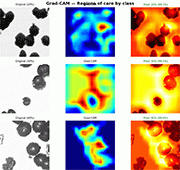 Figure 5: The resulting heatmaps, reveal a consistent and physically coherent pattern of attention