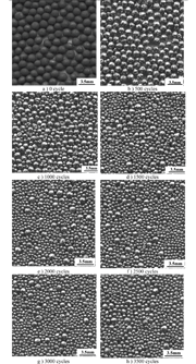 Figure 4: The wearing morphology of the samples with the hardness of HRC 40 after double-quenching and tempering at 550