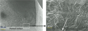 Figure 1: SEM fractograph for 2024-T351 Aluminum Alloy peened to particular conditions showing initiation site (indicated by the square frame) at stress level of smax= 300 MPa; R=0.1 and constant amplitude sinusoidal loading with a frequency of 20-25 Hz at ambient temperature. The magnified picture (right) depicts the initiation site right below a peening indentation as indicated by the white arrow.