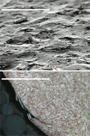 Picture 1: SEM picture of the surface condition after single step peening with steel shot (top) and micrograph cut of typical defect induced by steel shot peening (bottom)